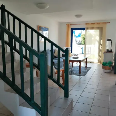 Suculenta Playa Blanca