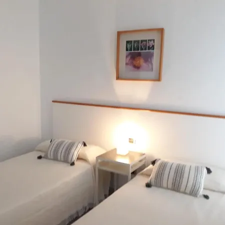 Suculenta * 普拉亚布兰卡